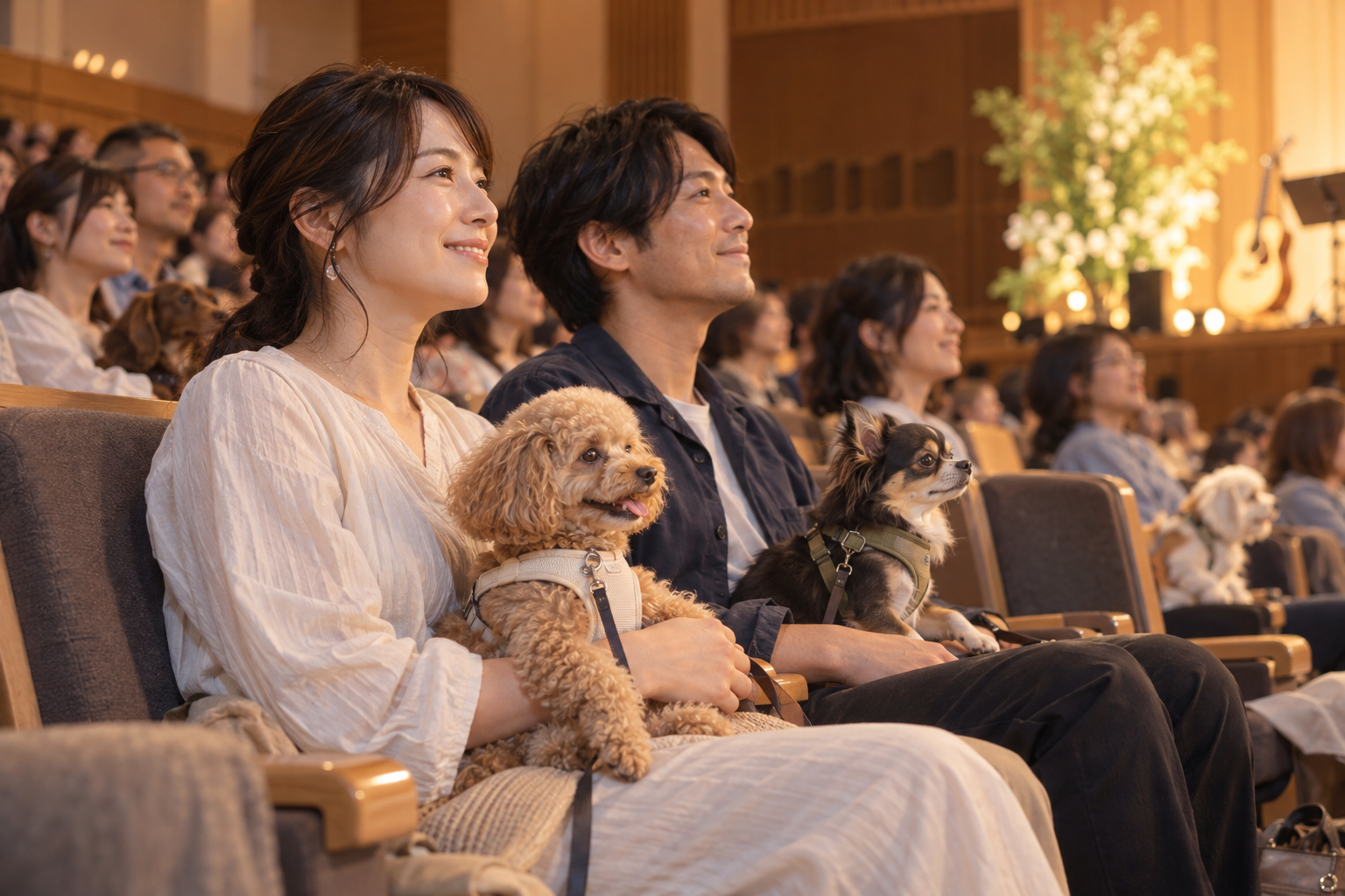 愛犬と客席でライブを楽しむ様子のイメージ